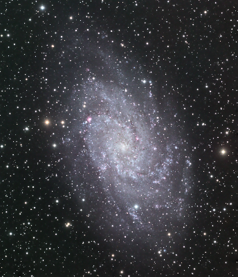 M33 in LRGB