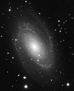 M81 